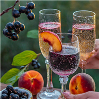 Champagne Toasts* Fragrance Oil 19896